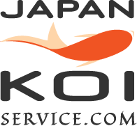 Japan Koi Service