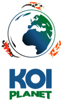 UAE Koi / Koi Planet