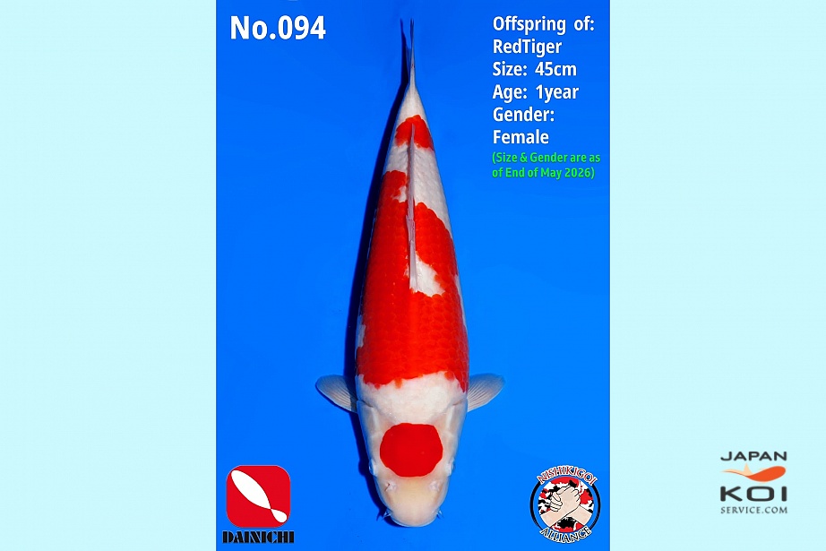 1Y Kohaku Nbr 094