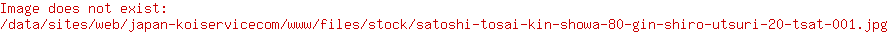 Satoshi Tosai Kin Showa 80% / Gin Shiro Utsuri 20% TSAT-001