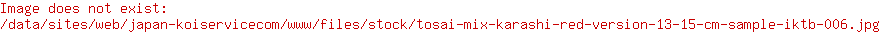 Tosai Mix Karashi: Red Version (Sample)  IKTB-006 
